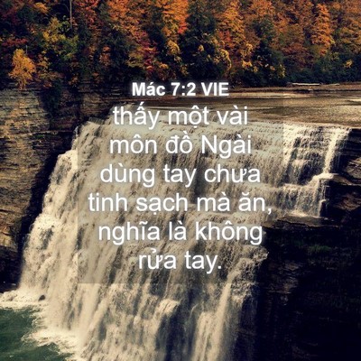 Picture 04 - Mác 7:2 VIE - thấy một vài môn đồ Ngài dùng tay - Bible Verse Picture
