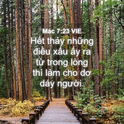 Picture 04 - Mác 7:23 VIE - Hết thảy những điều xấu ấy ra từ - Bible Verse Picture