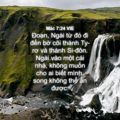 Picture 04 - Mác 7:24 VIE - Đoạn, Ngài từ đó đi đến bờ cõi - Bible Verse Picture