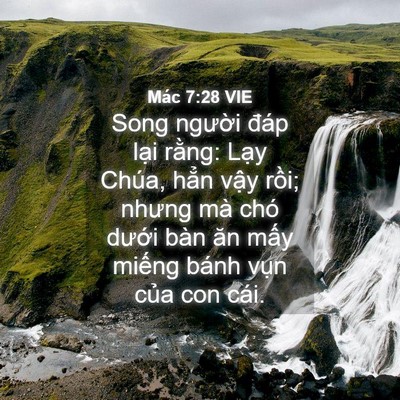 Picture 04 - Mác 7:28 VIE - Song người đáp lại rằng: Lạy Chúa, - Bible Verse Picture