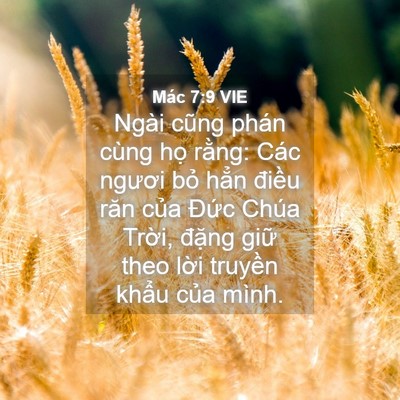 Picture 04 - Mác 7:9 VIE - Ngài cũng phán cùng họ rằng: Các ngươi - Bible Verse Picture