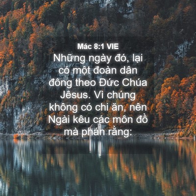 Picture 04 - Mác 8:1 VIE - Những ngày đó, lại có một đoàn dân - Bible Verse Picture