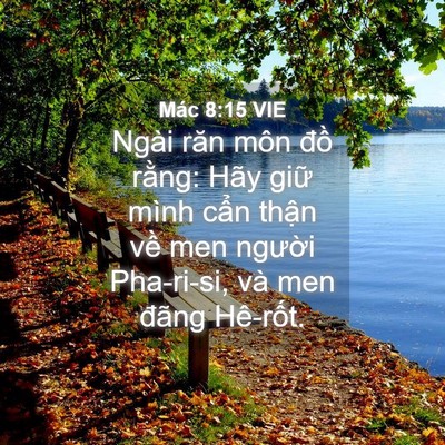 Picture 04 - Mác 8:15 VIE - Ngài răn môn đồ rằng: Hãy giữ mình - Bible Verse Picture