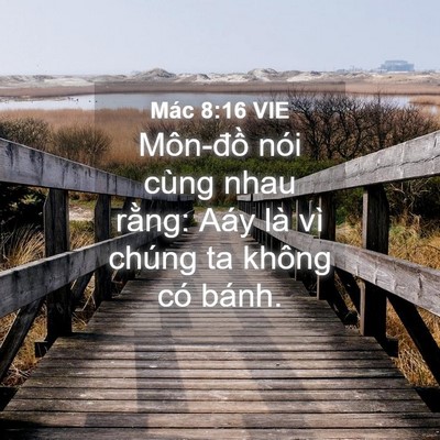 Picture 04 - Mác 8:16 VIE - Môn-đồ nói cùng nhau rằng: Aáy là vì - Bible Verse Picture