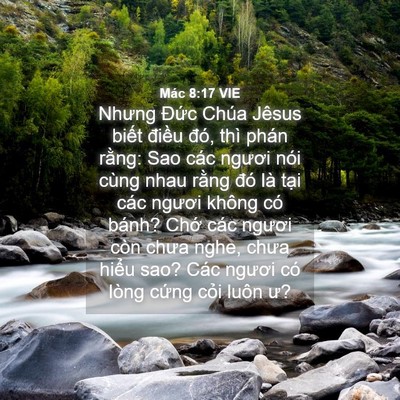 Picture 04 - Mác 8:17 VIE - Nhưng Đức Chúa Jêsus biết điều đó, - Bible Verse Picture