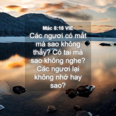 Picture 04 - Mác 8:18 VIE - Các ngươi có mắt mà sao không thấy? Có - Bible Verse Picture