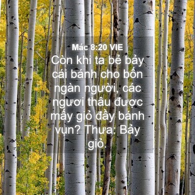 Picture 04 - Mác 8:20 VIE - Còn khi ta bẻ bảy cái bánh cho bốn ngàn - Bible Verse Picture