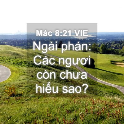 Picture 04 - Mác 8:21 VIE - Ngài phán: Các ngươi còn chưa hiểu - Bible Verse Picture
