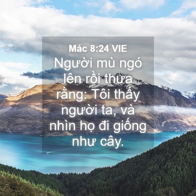 Picture 04 - Mác 8:24 VIE - Người mù ngó lên rồi thưa rằng: Tôi - Bible Verse Picture