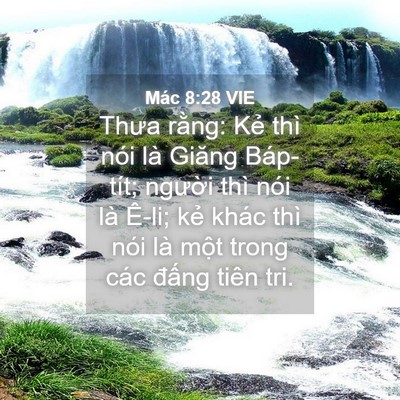 Picture 04 - Mác 8:28 VIE - Thưa rằng: Kẻ thì nói là Giăng - Bible Verse Picture