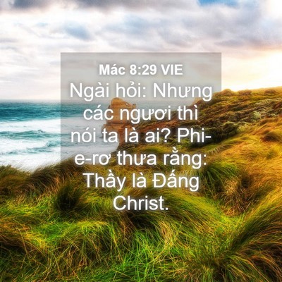 Picture 04 - Mác 8:29 VIE - Ngài hỏi: Nhưng các ngươi thì nói ta là - Bible Verse Picture