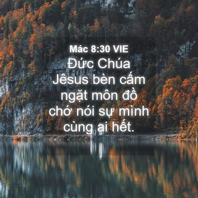 Picture 04 - Mác 8:30 VIE - Đức Chúa Jêsus bèn cấm ngặt môn đồ - Bible Verse Picture