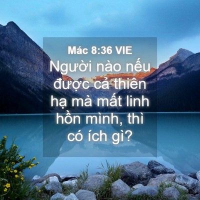 Picture 04 - Mác 8:36 VIE - Người nào nếu được cả thiên hạ mà - Bible Verse Picture
