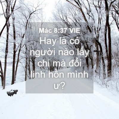 Picture 04 - Mác 8:37 VIE - Hay là có người nào lấy chi mà đổi - Bible Verse Picture