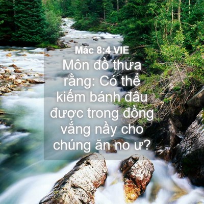 Picture 04 - Mác 8:4 VIE - Môn đồ thưa rằng: Có thể kiếm bánh - Bible Verse Picture