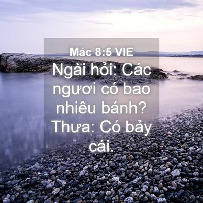 Picture 04 - Mác 8:5 VIE - Ngài hỏi: Các ngươi có bao nhiêu bánh? - Bible Verse Picture