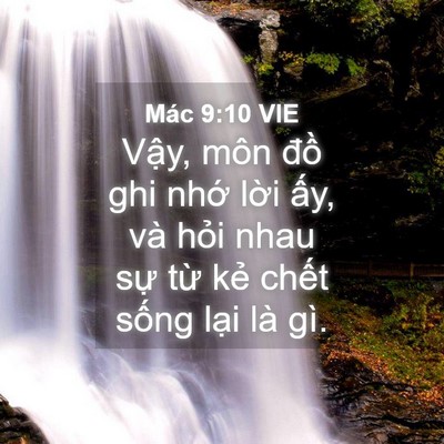 Picture 04 - Mác 9:10 VIE - Vậy, môn đồ ghi nhớ lời ấy, và hỏi - Bible Verse Picture