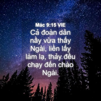 Picture 04 - Mác 9:15 VIE - Cả đoàn dân nầy vừa thấy Ngài, liền - Bible Verse Picture