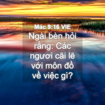 Picture 04 - Mác 9:16 VIE - Ngài bèn hỏi rằng: Các ngươi cãi lẽ - Bible Verse Picture