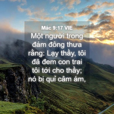 Picture 04 - Mác 9:17 VIE - Một người trong đám đông thưa rằng: - Bible Verse Picture