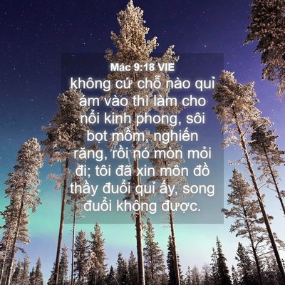 Picture 04 - Mác 9:18 VIE - không cứ chỗ nào quỉ ám vào thì làm - Bible Verse Picture