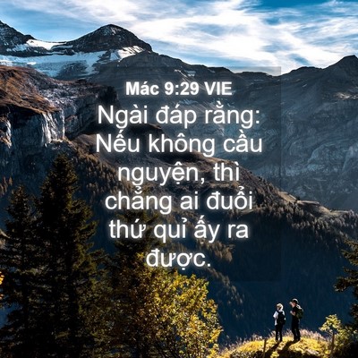 Picture 04 - Mác 9:29 VIE - Ngài đáp rằng: Nếu không cầu nguyện, - Bible Verse Picture