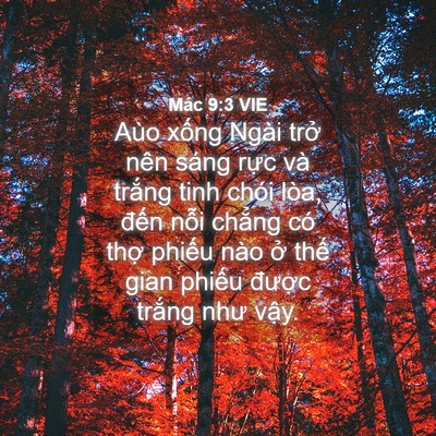 Picture 04 - Mác 9:3 VIE - Aùo xống Ngài trở nên sáng rực và - Bible Verse Picture