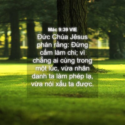 Picture 04 - Mác 9:39 VIE - Đức Chúa Jêsus phán rằng: Đừng cấm - Bible Verse Picture