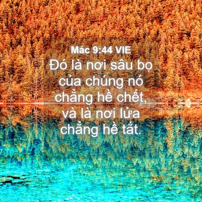 Picture 04 - Mác 9:44 VIE - Đó là nơi sâu bọ của chúng nó chẳng - Bible Verse Picture