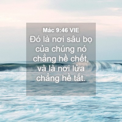 Picture 04 - Mác 9:46 VIE - Đó là nơi sâu bọ của chúng nó chẳng - Bible Verse Picture