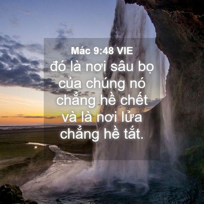 Picture 04 - Mác 9:48 VIE - đó là nơi sâu bọ của chúng nó chẳng - Bible Verse Picture