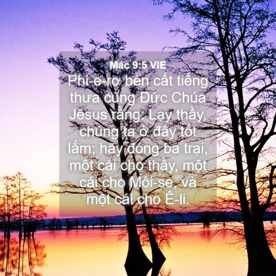Picture 04 - Mác 9:5 VIE - Phi-e-rơ bèn cất tiếng thưa cùng Đức - Bible Verse Picture