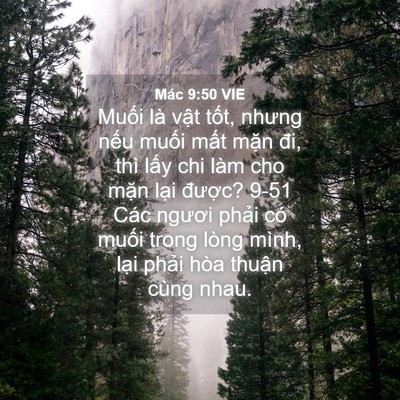 Picture 04 - Mác 9:50 VIE - Muối là vật tốt, nhưng nếu muối mất - Bible Verse Picture