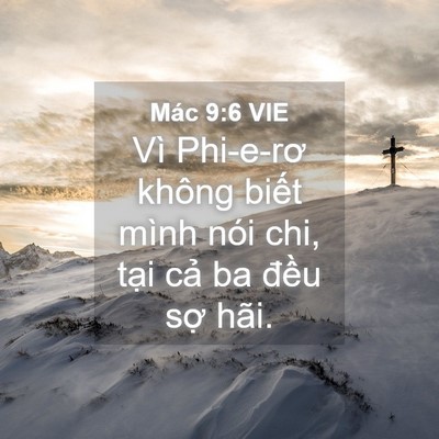 Picture 04 - Mác 9:6 VIE - Vì Phi-e-rơ không biết mình nói chi, tại - Bible Verse Picture