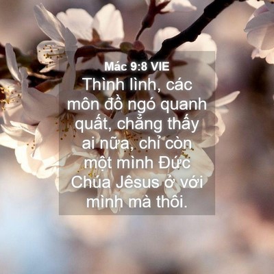 Picture 04 - Mác 9:8 VIE - Thình lình, các môn đồ ngó quanh quất, - Bible Verse Picture