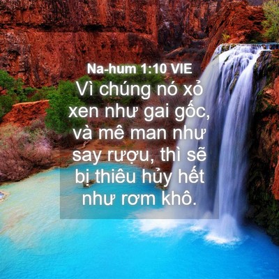 Picture 04 - Na-hum 1:10 VIE - Vì chúng nó xỏ xen như gai gốc, và mê - Bible Verse Picture
