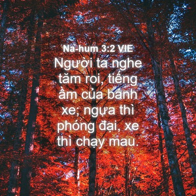 Picture 04 - Na-hum 3:2 VIE - Người ta nghe tăm roi, tiếng ầm của - Bible Verse Picture