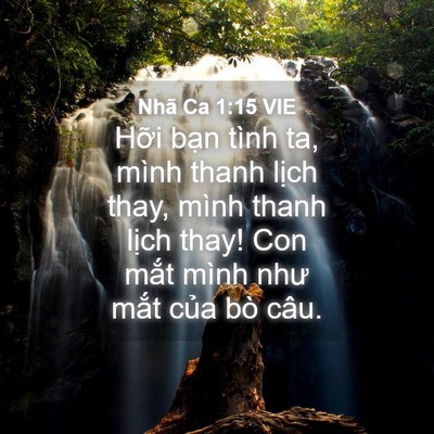 Picture 04 - Nhã Ca 1:15 VIE - Hỡi bạn tình ta, mình thanh lịch thay, - Bible Verse Picture