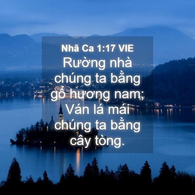 Picture 04 - Nhã Ca 1:17 VIE - Rường nhà chúng ta bằng gổ hương nam; - Bible Verse Picture