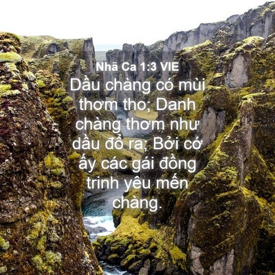 Picture 04 - Nhã Ca 1:3 VIE - Dầu chàng có mùi thơm tho; Danh chàng - Bible Verse Picture