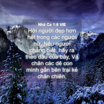 Picture 04 - Nhã Ca 1:8 VIE - Hỡi người đẹp hơn hết trong các - Bible Verse Picture