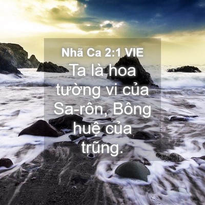 Picture 04 - Nhã Ca 2:1 VIE - Ta là hoa tường vi của Sa-rôn, Bông huệ - Bible Verse Picture