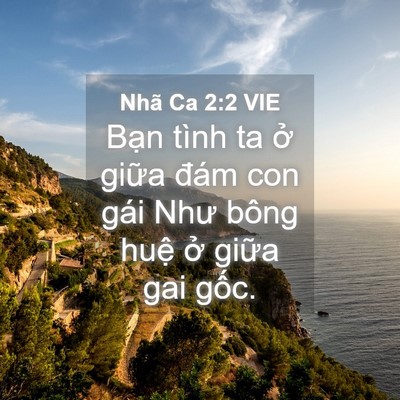 Picture 04 - Nhã Ca 2:2 VIE - Bạn tình ta ở giữa đám con gái Như - Bible Verse Picture