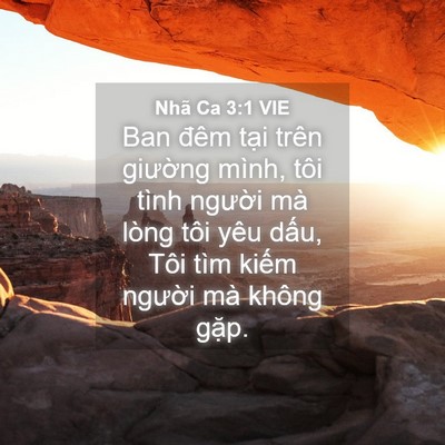 Picture 04 - Nhã Ca 3:1 VIE - Ban đêm tại trên giường mình, tôi tình - Bible Verse Picture