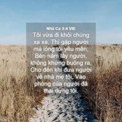 Picture 04 - Nhã Ca 3:4 VIE - Tôi vừa đi khỏi chúng xa xa, Thì gặp - Bible Verse Picture