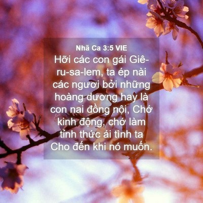 Picture 04 - Nhã Ca 3:5 VIE - Hỡi các con gái Giê-ru-sa-lem, ta ép nài - Bible Verse Picture