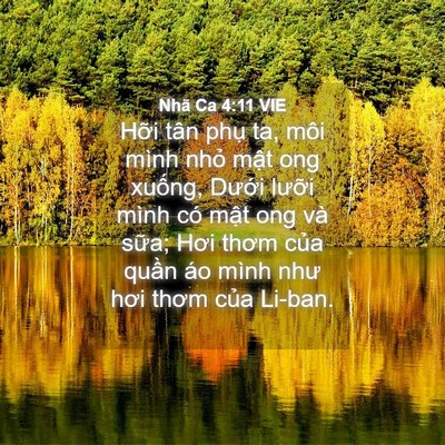 Picture 04 - Nhã Ca 4:11 VIE - Hỡi tân phụ ta, môi mình nhỏ mật ong - Bible Verse Picture