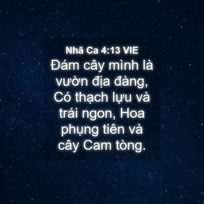 Picture 04 - Nhã Ca 4:13 VIE - Đám cây mình là vườn địa đàng, Có - Bible Verse Picture