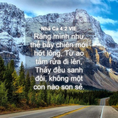 Picture 04 - Nhã Ca 4:2 VIE - Răng mình như thể bầy chiên mới hớt - Bible Verse Picture