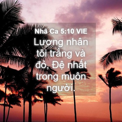 Picture 04 - Nhã Ca 5:10 VIE - Lương nhân tôi trắng và đỏ, Đệ - Bible Verse Picture